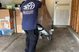 Moving-day.webp